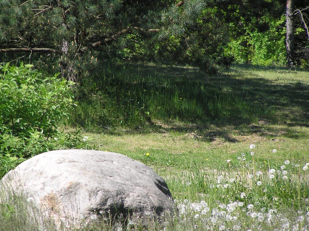 Wymoj Park Daire Stawiguda Dış mekan fotoğraf